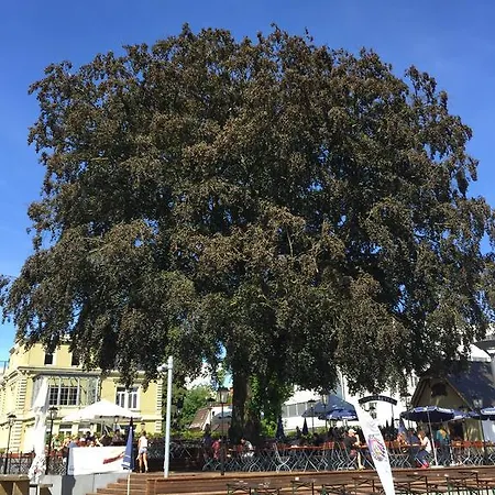 Apartament Rheinblick Riverview Luxury *