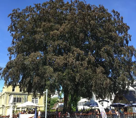 Apartmán Rheinblick Riverview Luxury *